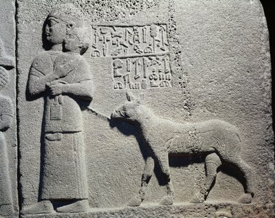 Queen or Wet Nurse Carrying Tuwarsais, the Youngest Son of King Araras by Assyrian